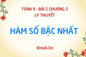Hàm số bậc nhất là gì? Tính chất của hàm số bậc nhất - Toán 9 bài 2